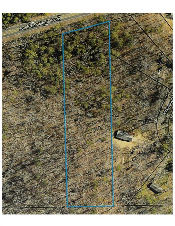 Great Acreage for building your dream home. Wooded. 206 ft. of road frontage on Hwy 41. Less than 5 minutes from the expanding Hamilton Recreation Park.