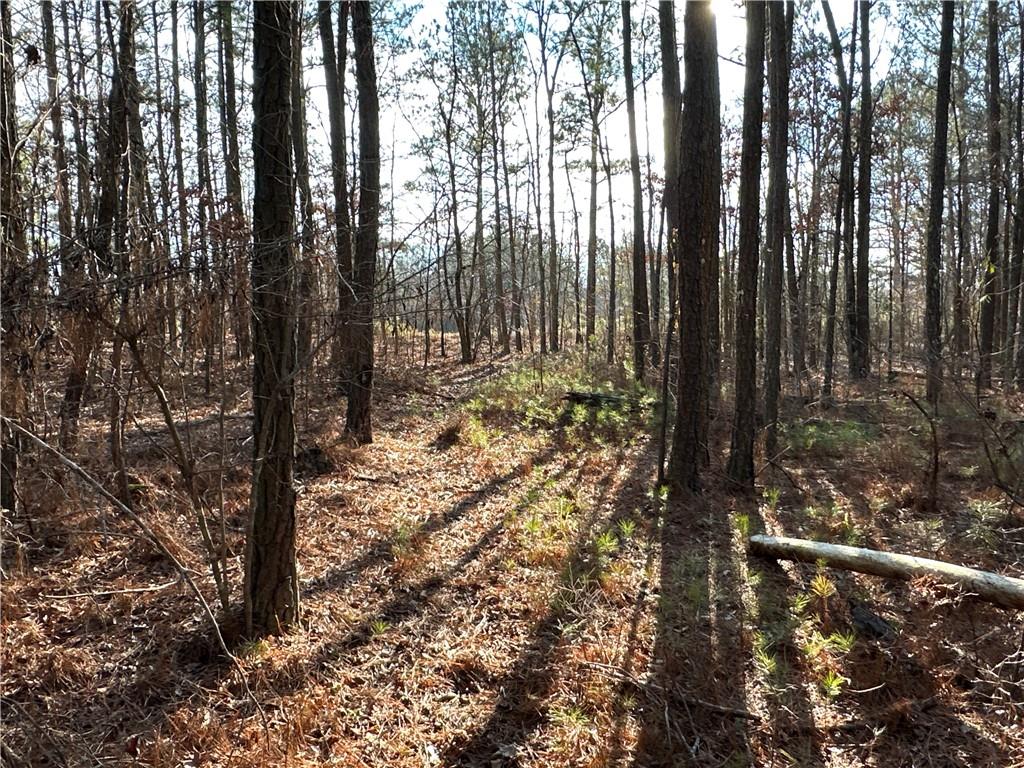 Buttermilk Road, Cave Spring, Georgia image 4