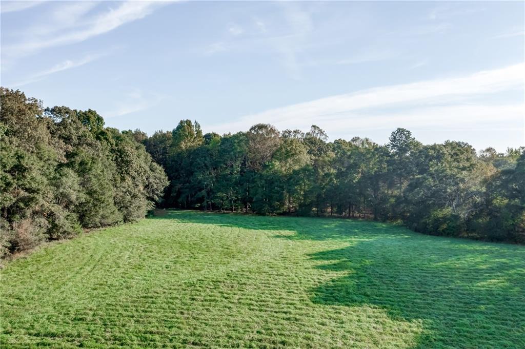 No Greater Opportunity for acreage, prime for development within the rapidly growing city of Flowery Branch. This is the perfect canvas for a local or larger scale builder, with the options. Boasting over 23 acres of lush rolling grass and partially wooded areas creates the perfect canvas for future development. is Don't miss out on the opportunity to capitalize on the immense growth this area is seeing!