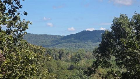 Vacant Land For Sale - 611 Pack Road<br/> Ranger, GA 30734