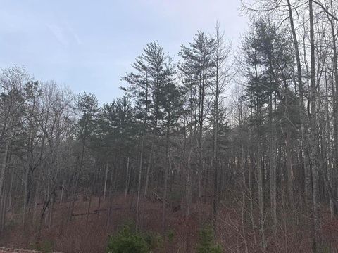 202 Emma Terrace Dawsonville GA 30534