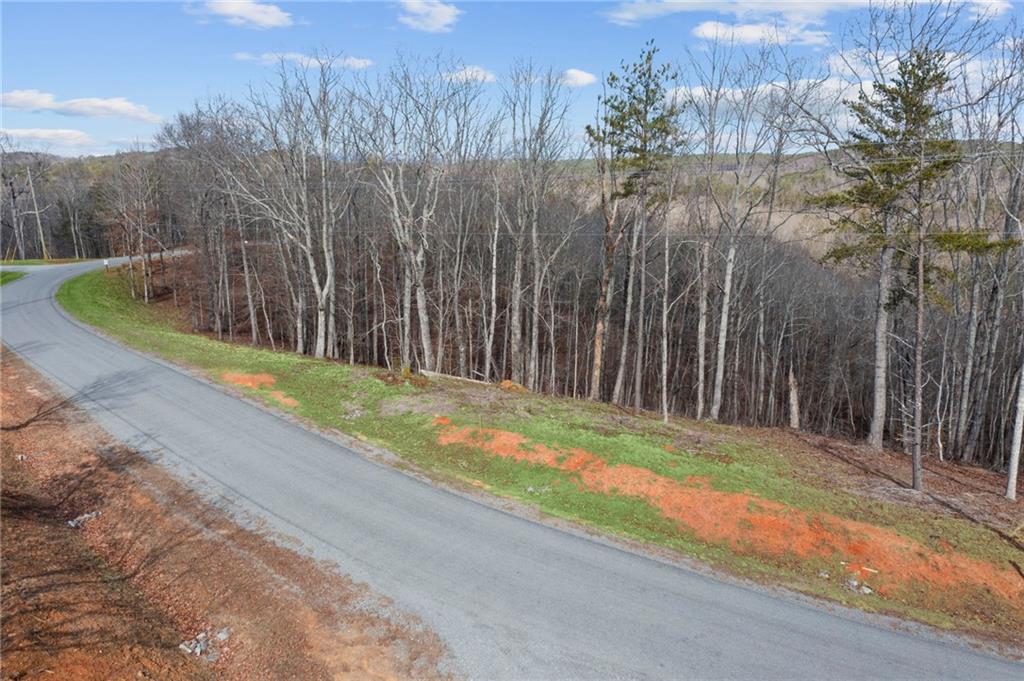 Lot 04 Blalock Mountain Road, Talking Rock, Georgia image 8