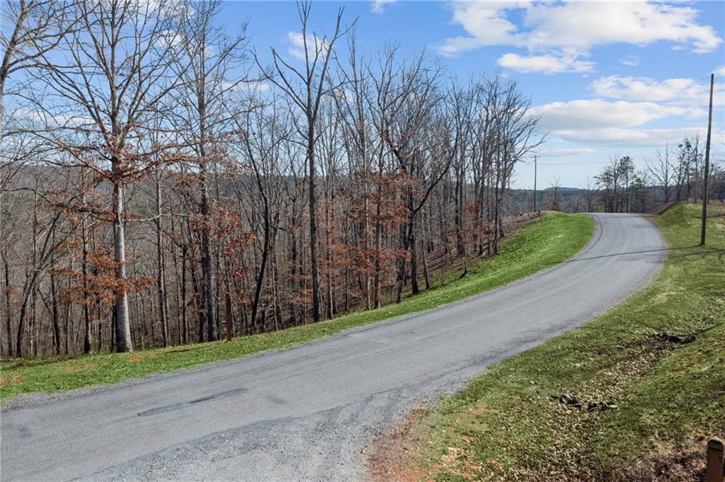 Lot 04 Blalock Mountain Road, Talking Rock, Georgia image 9