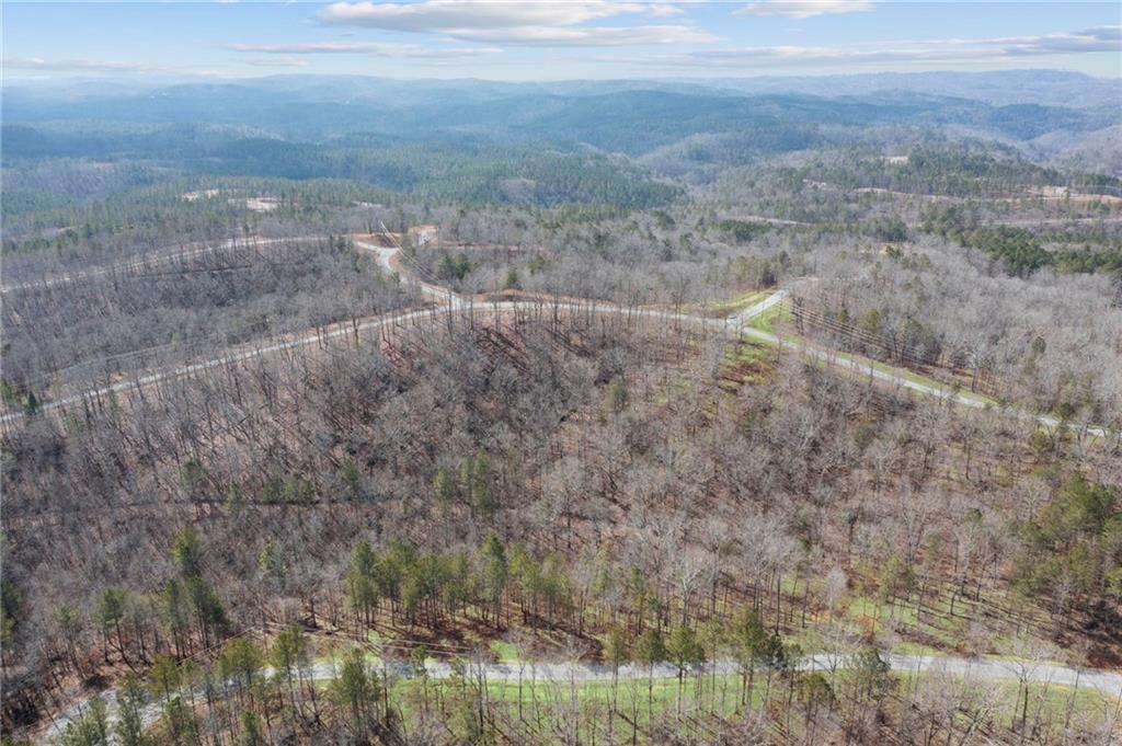 Lot 04 Blalock Mountain Road, Talking Rock, Georgia image 12