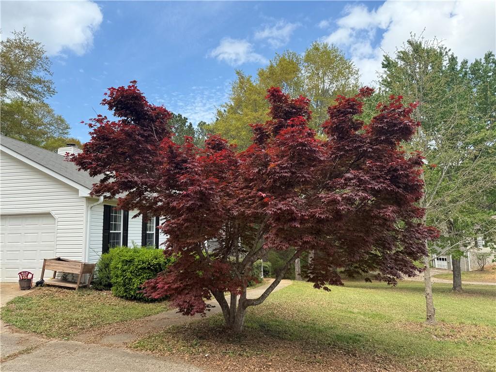 320 Creek Side Court, Mcdonough, Georgia image 4
