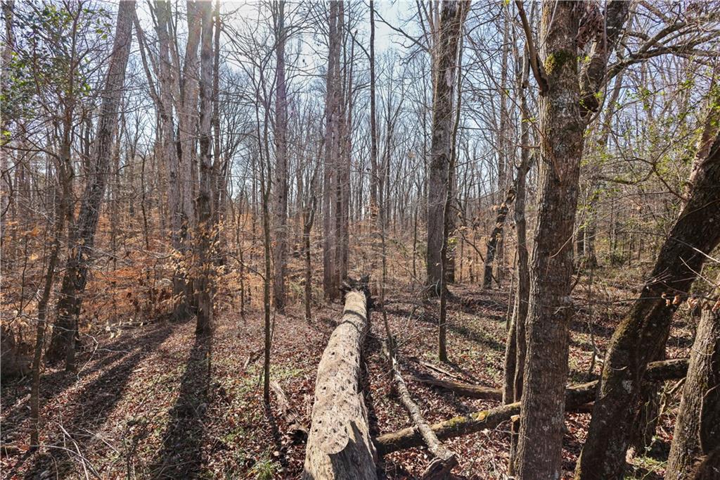 0 Winford Smith Road