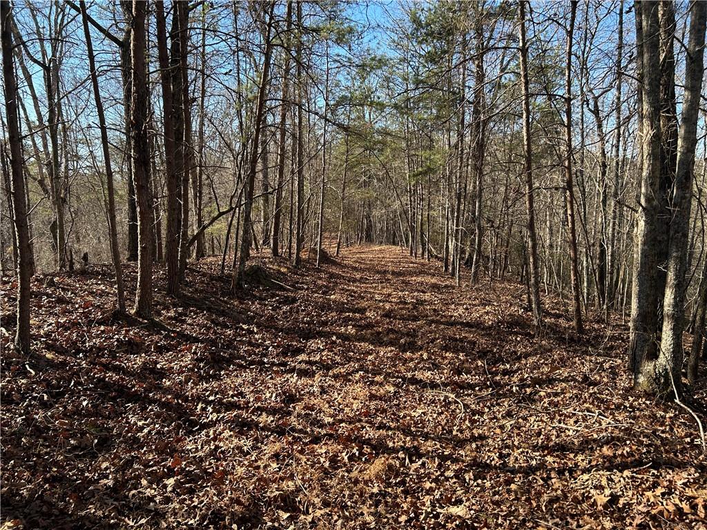 00 Twin River Orchard Road