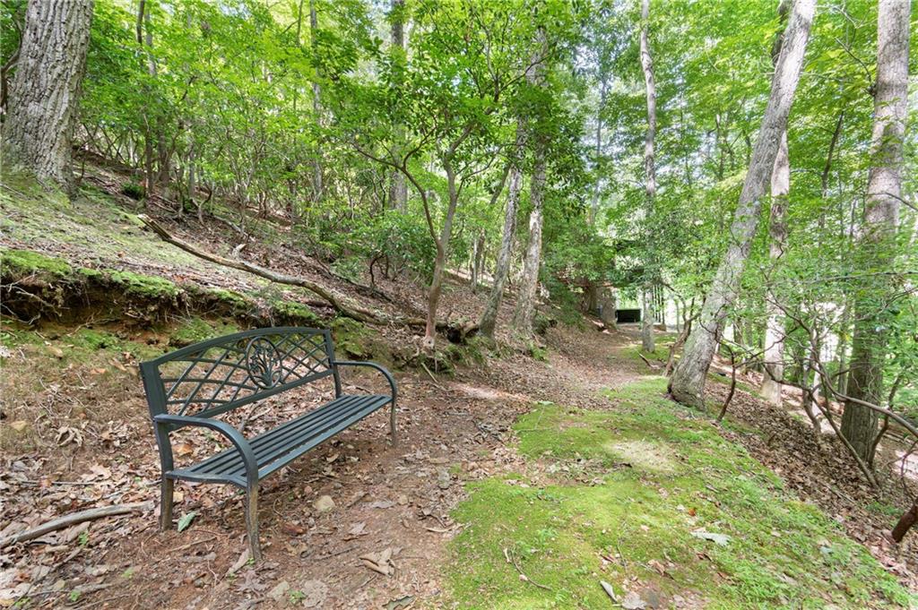 341 Valley View Road, Ellijay, Georgia image 40