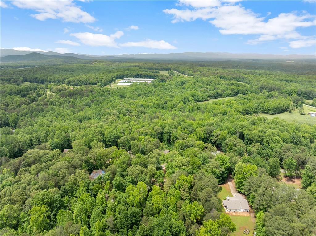275 Fairfax Court, Dawsonville, Georgia image 46