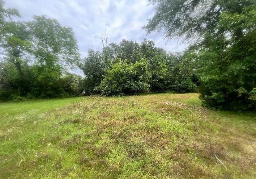 1318 E Roosevelt Avenue, Albany, GA, 31705