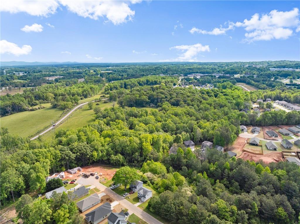462 Magnolia Grove Place, Cornelia, Georgia image 37