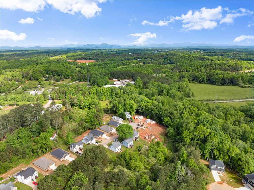 462 Magnolia Grove Place, Cornelia, Georgia image 42