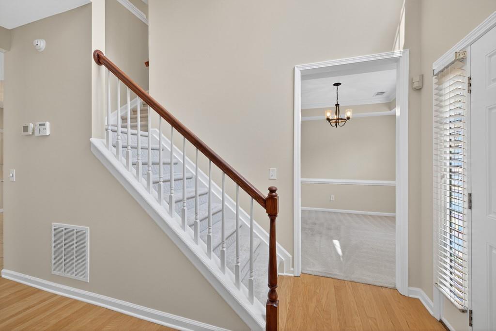 3330 Avocet Court