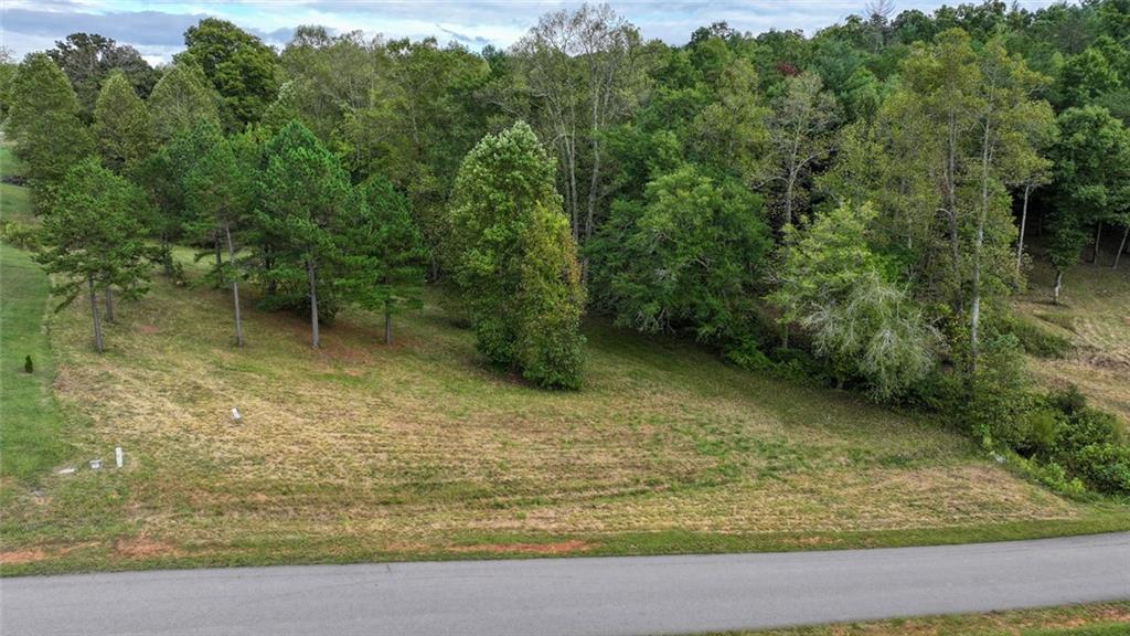 Lot 39 New Water Way Lot 39, Blairsville, Georgia image 10