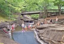 315 Bell Flower Drive