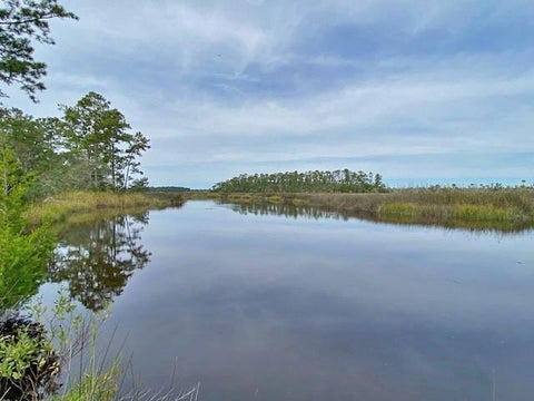 Vacant Land For Sale - La Sole Lane<br/> Waverly, GA 31565