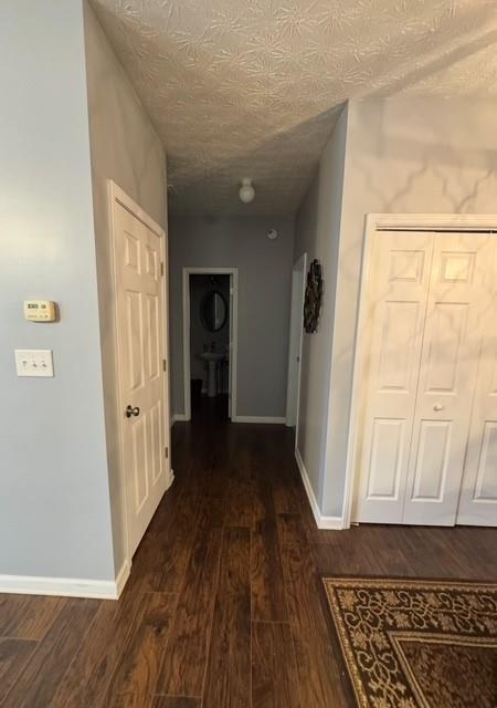 443 Marsh Lake Road