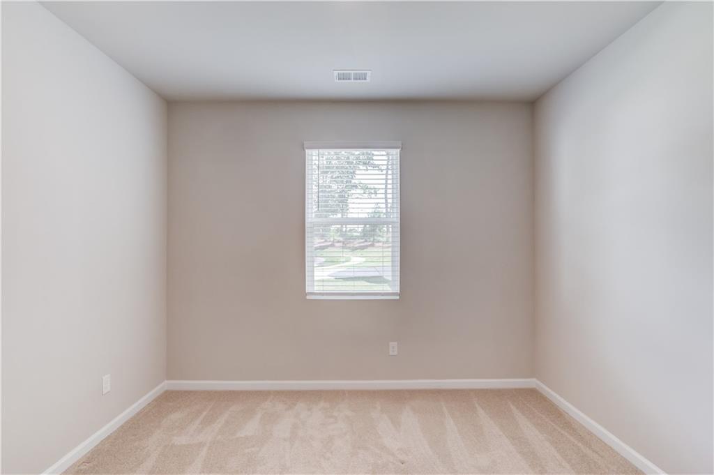 334 Pepin Court, Hoschton, Georgia image 21