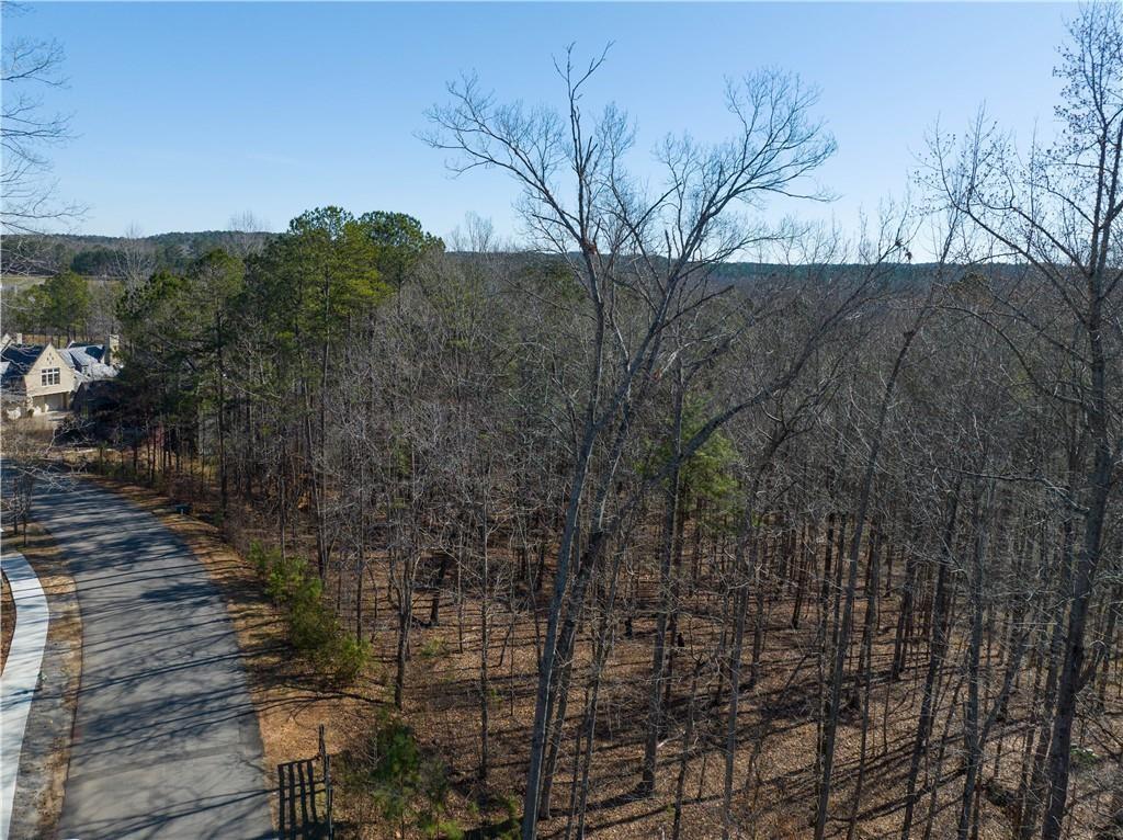 10780 Serenbe Lane, Palmetto, Georgia image 3