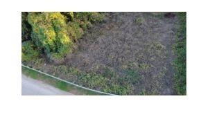 880 Mountain View Drive