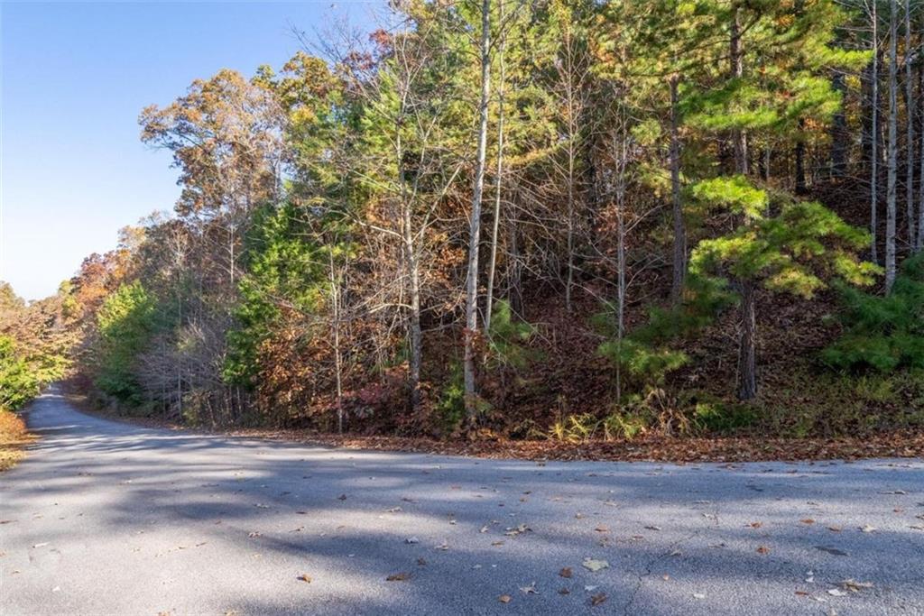 Move to Walton County and build your dream home on this beautiful 5+ acre lot on a private, dead end road. Covenants in place, but no HOA. Close to Walnut Grove and Monroe schools. Just minutes to all the fun and excitement Historic Downtown Monroe offers. *Commission to selling broker will be reduced to 1% if not present at the first initial showing of the property.