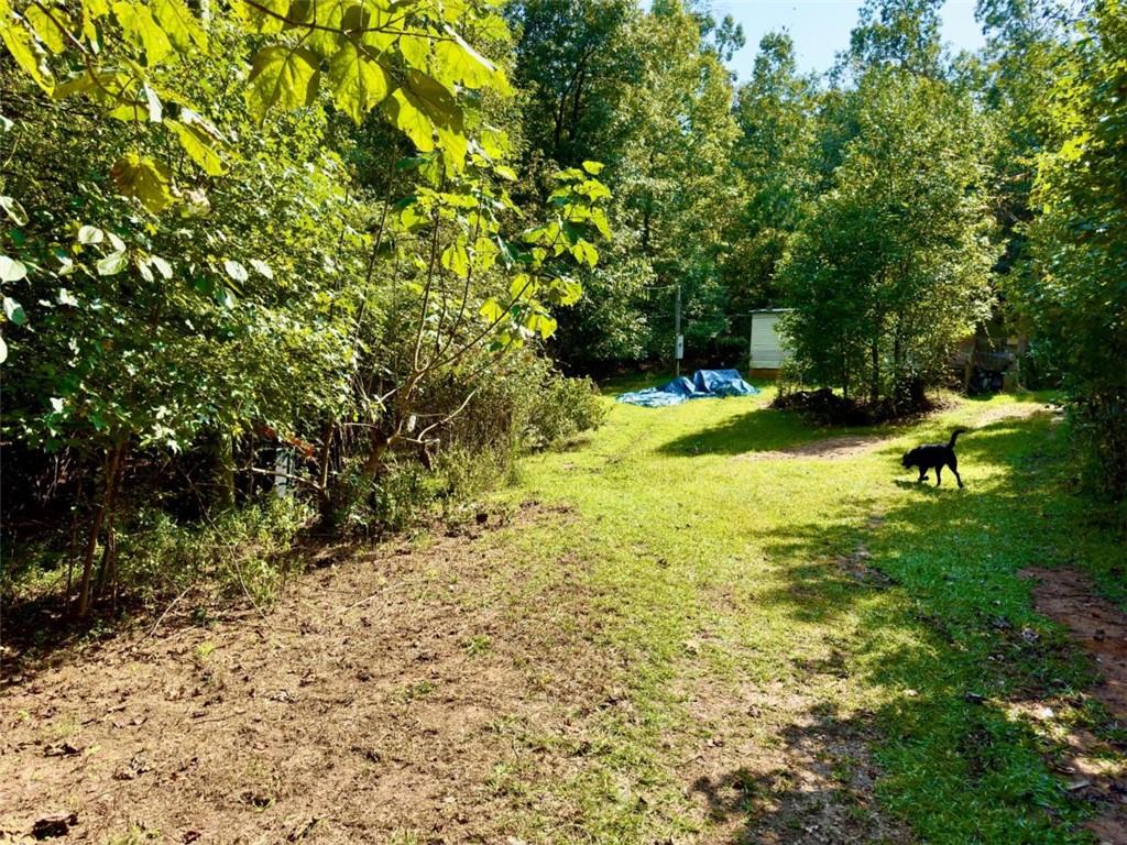 808 Rock Forge Road