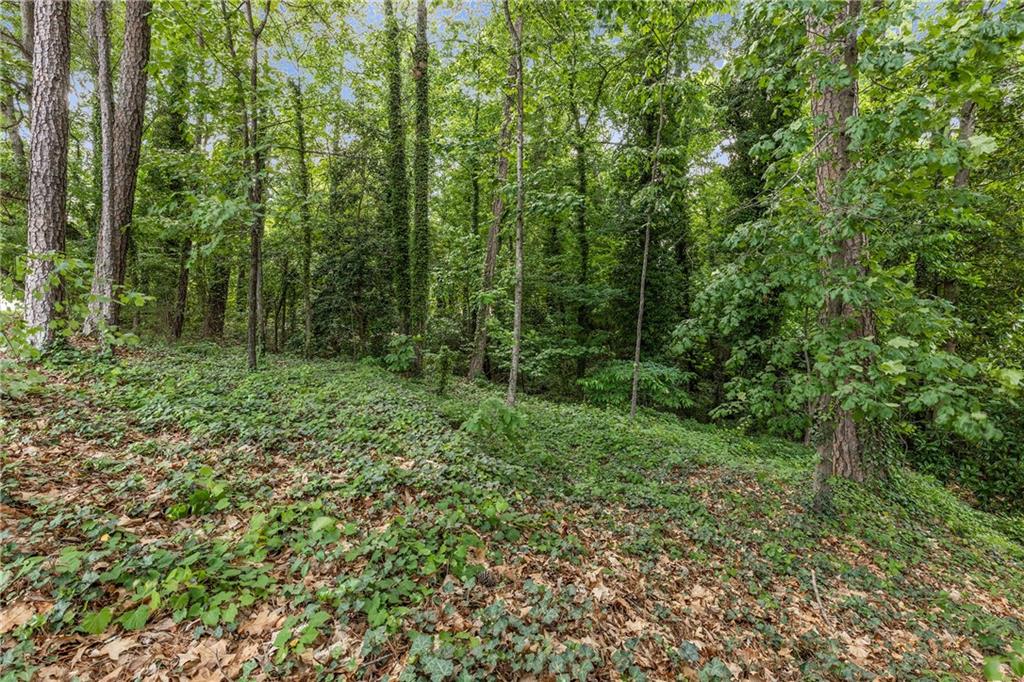 965 Heards Ferry Road, Sandy Springs, Georgia image 38