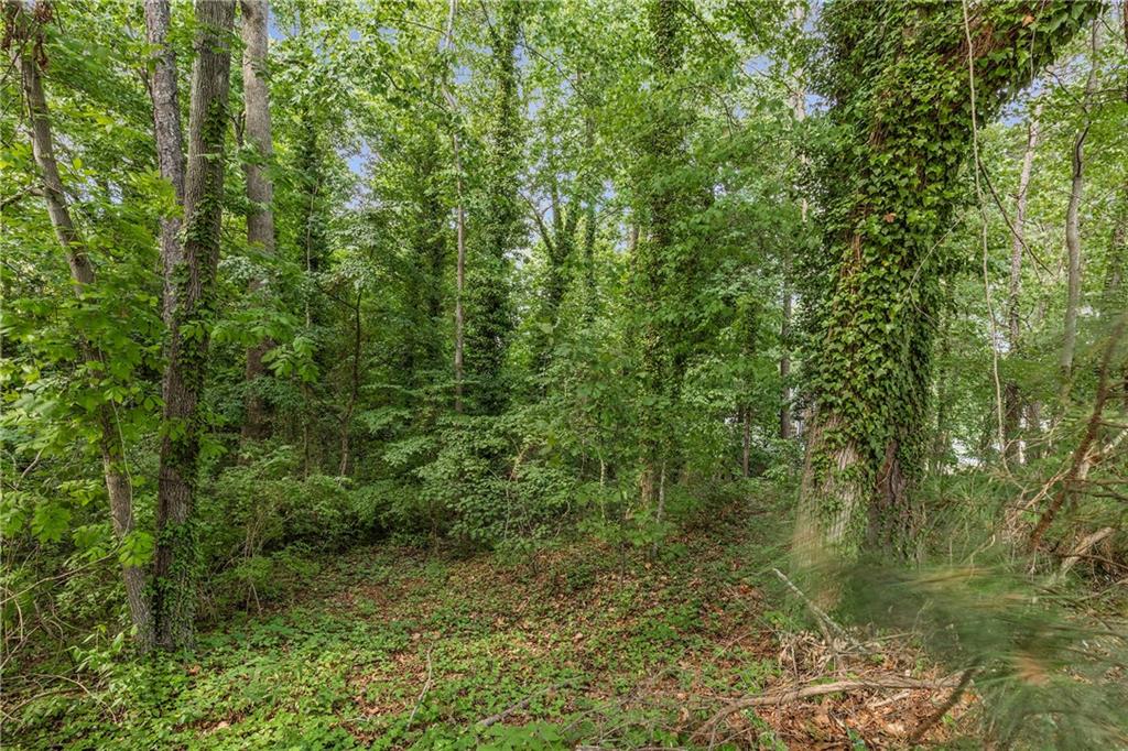965 Heards Ferry Road, Sandy Springs, Georgia image 39