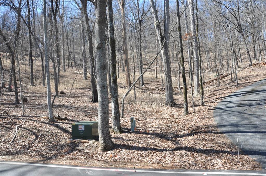 8115 Disharoon Drive, Big Canoe, Georgia image 7