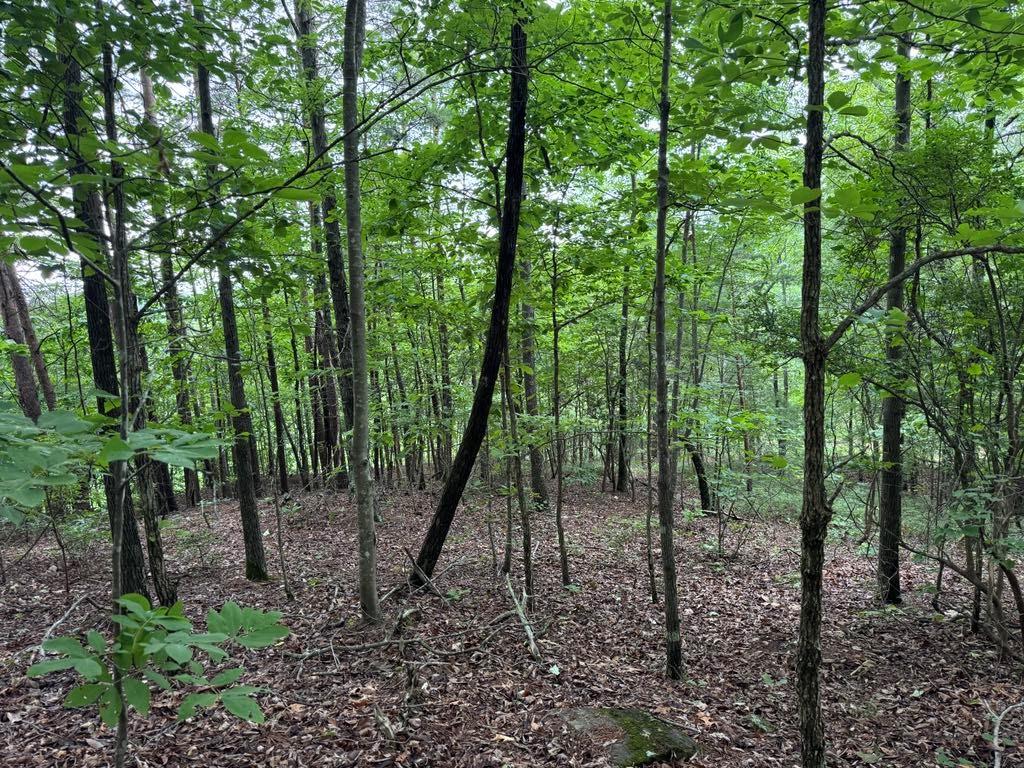 575 Galaxy Way, Ranger, Georgia image 4