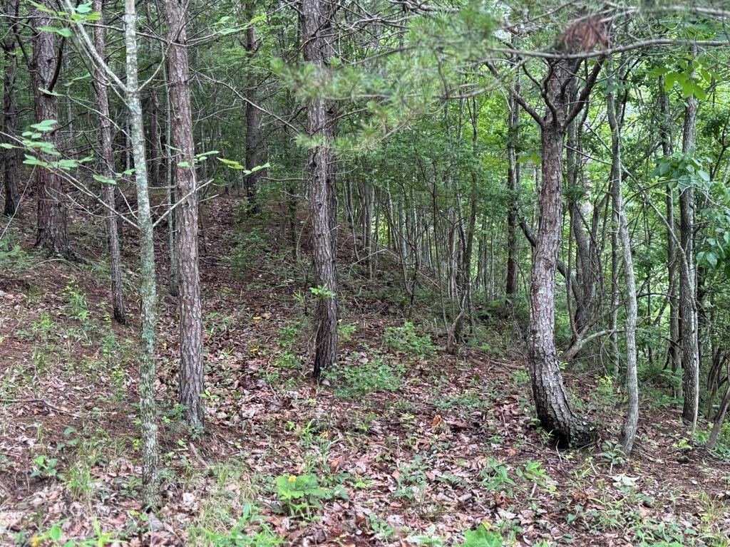 575 Galaxy Way, Ranger, Georgia image 2