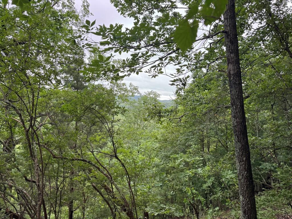 575 Galaxy Way, Ranger, Georgia image 6