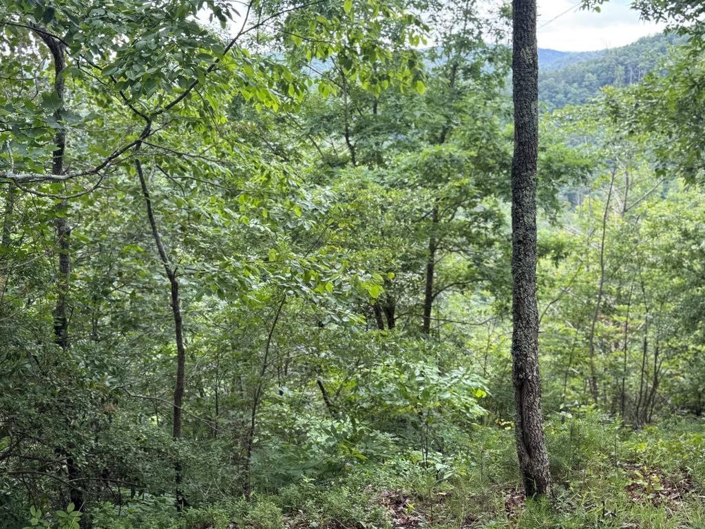 575 Galaxy Way, Ranger, Georgia image 3