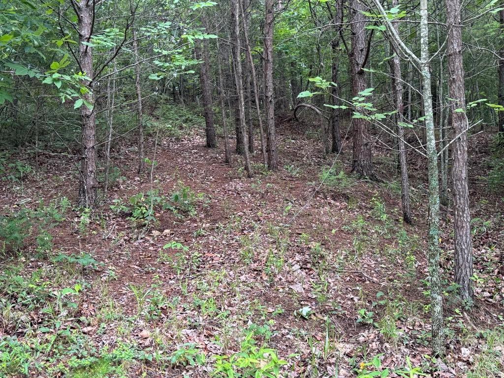 575 Galaxy Way, Ranger, Georgia image 1