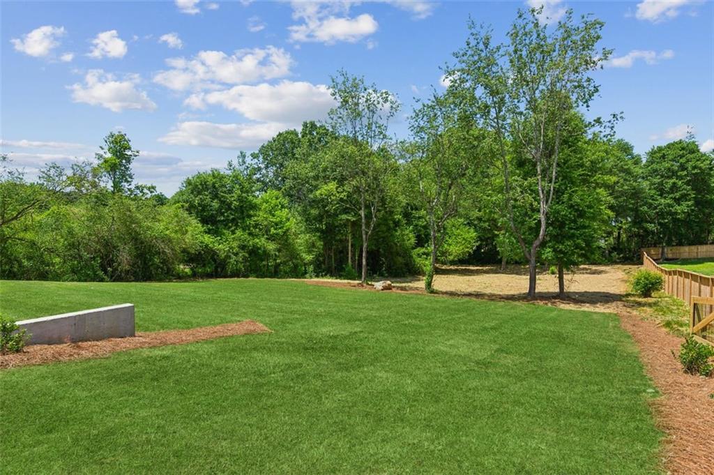 7188 Williams Road, Flowery Branch, Georgia image 46