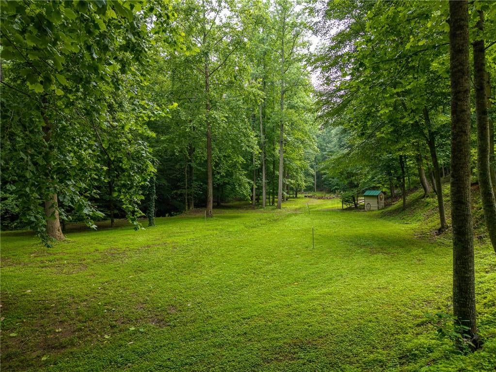 1117 Rambling Road