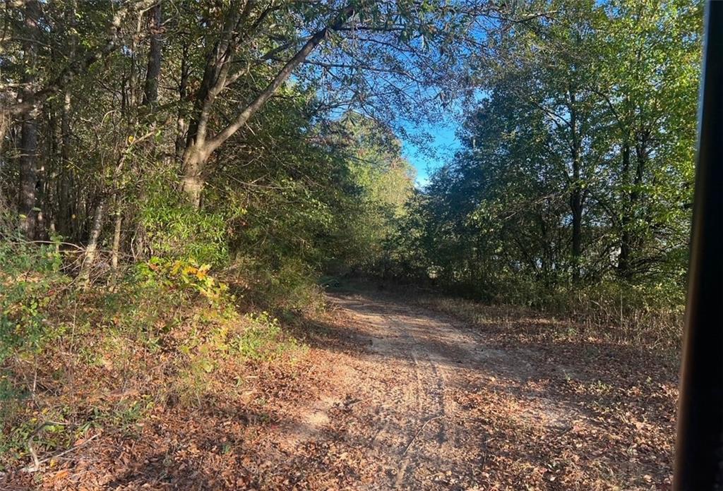 L5 Lovebridge Rd, Calhoun, Georgia image 9