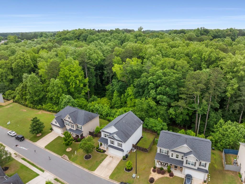 197 Cherokee Reserve Circle, Canton, Georgia image 46