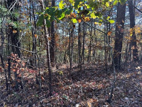 Vacant Land For Sale - 1686 Shade Tree Drive<br/> Talking Rock, GA 30175