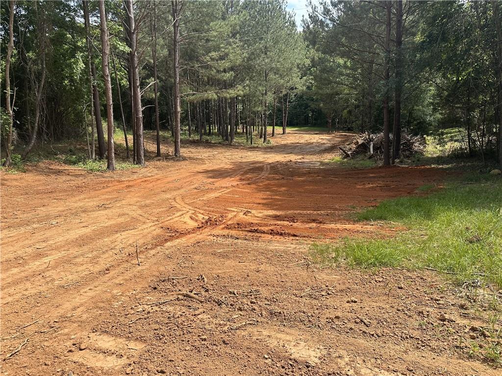 1451 Cook Road, Oxford, Georgia image 7