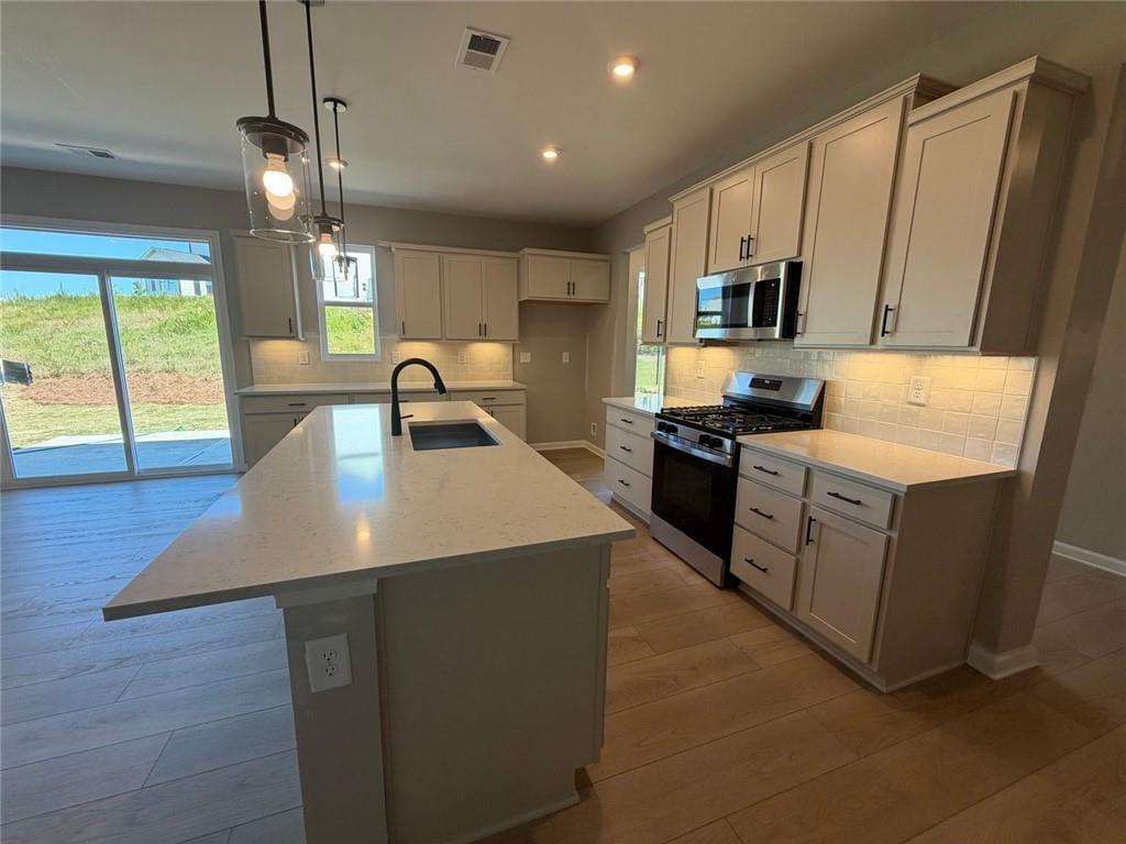 258 Loon Lake Way