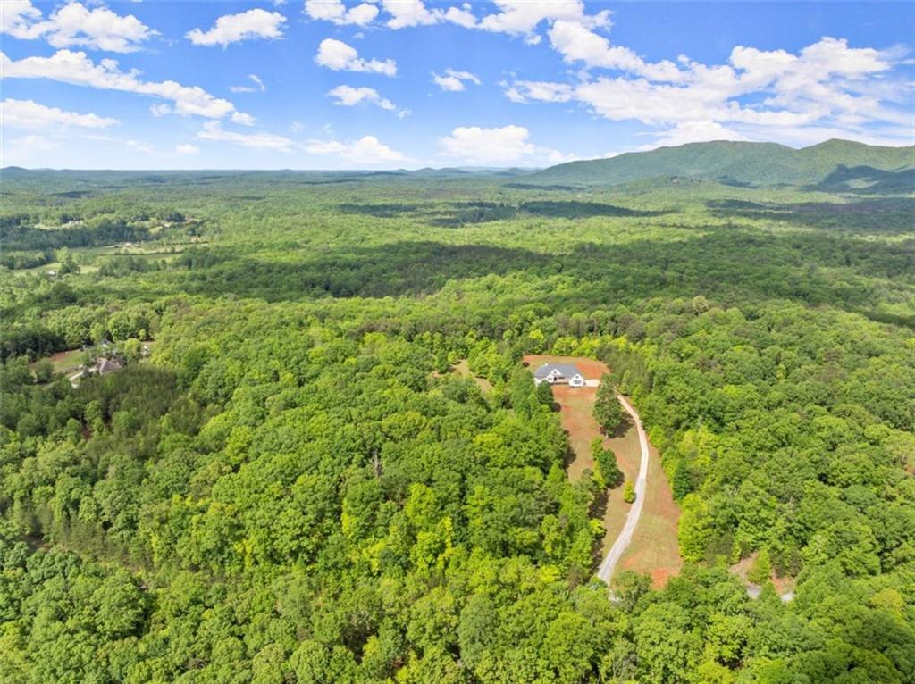 Sassafrass Ridge Drive, Sautee Nacoochee, Georgia image 6