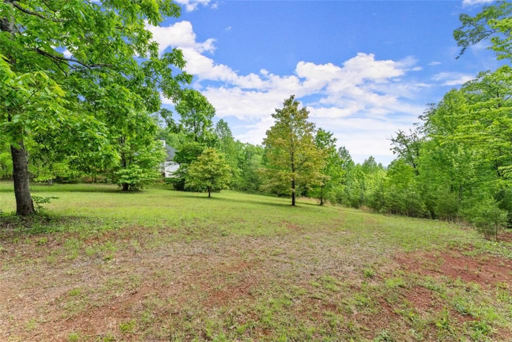 Sassafrass Ridge Drive, Sautee Nacoochee, Georgia image 15