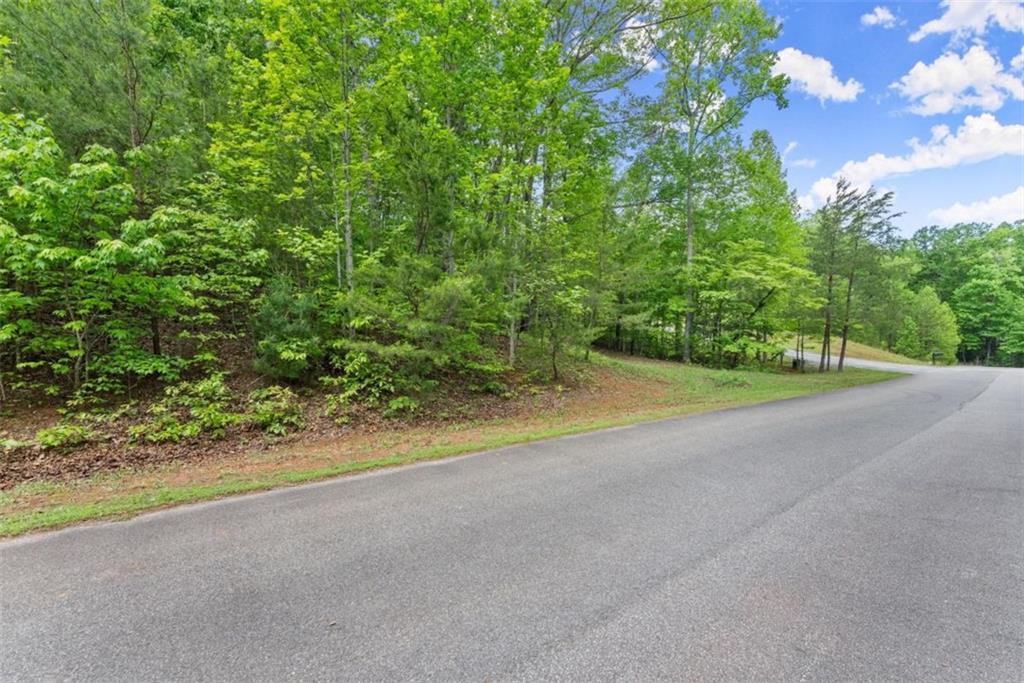 Sassafrass Ridge Drive, Sautee Nacoochee, Georgia image 16