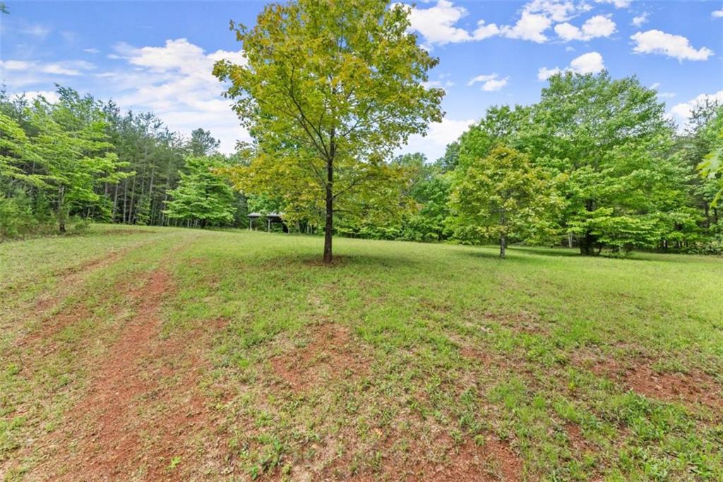 Sassafrass Ridge Drive, Sautee Nacoochee, Georgia image 13