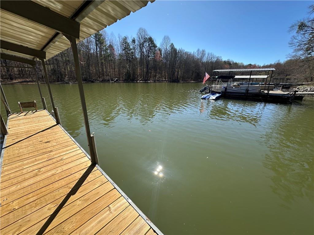 200 Greenpeace Way, Martin, Georgia image 6