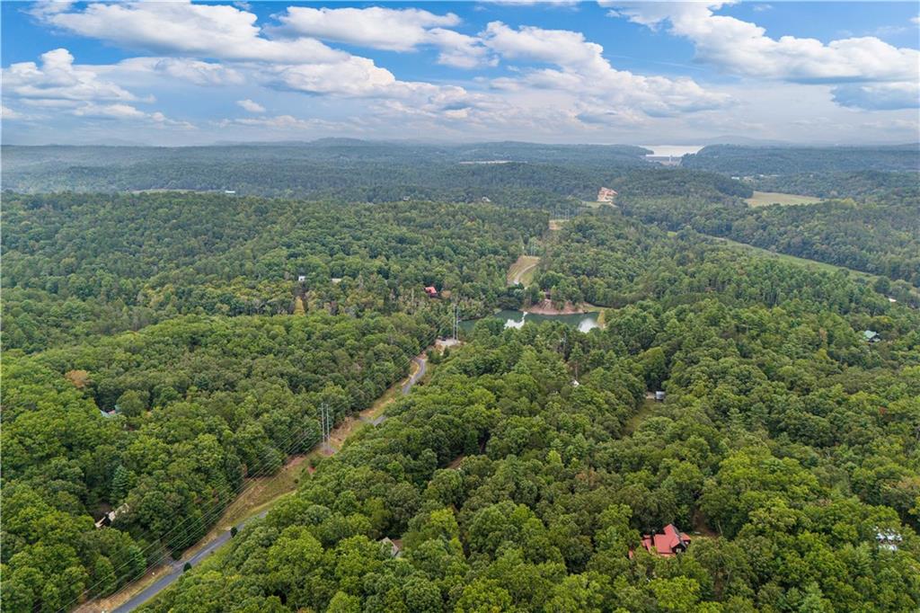 103 Kassey Circle, Mineral Bluff, Georgia image 49