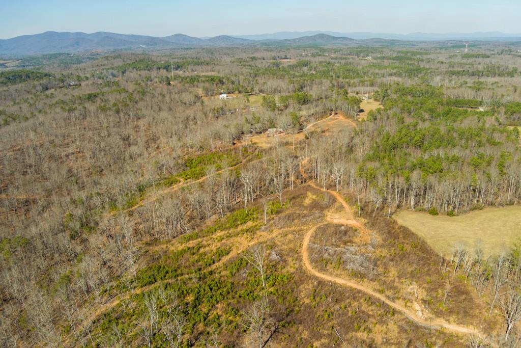 170 Sperin Cabinet Road, Ball Ground, Georgia image 9