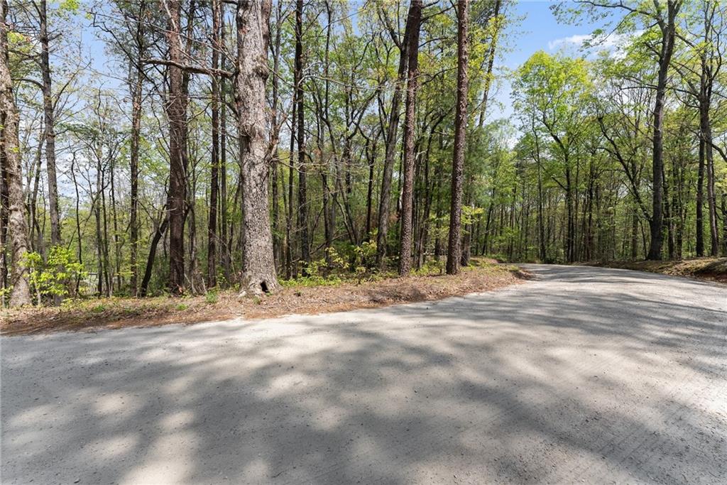 Ridge Road, Dawsonville, Georgia image 2