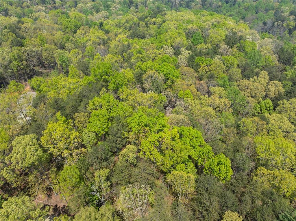 Ridge Road, Dawsonville, Georgia image 15